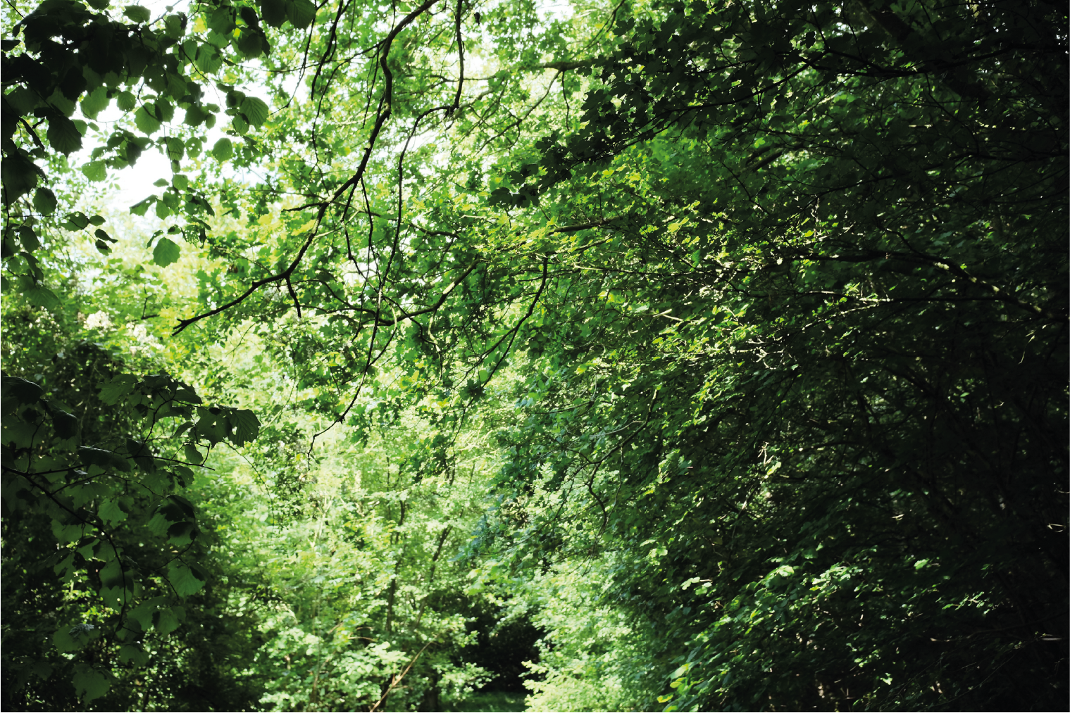 Camping Bulderbos
